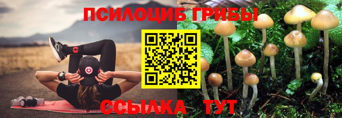 Галлюциногенные грибы Psilocybine cubensis  Вход с VPN  Галлюциногенные грибы Magic Shrooms  где продают наркотики  Печора 