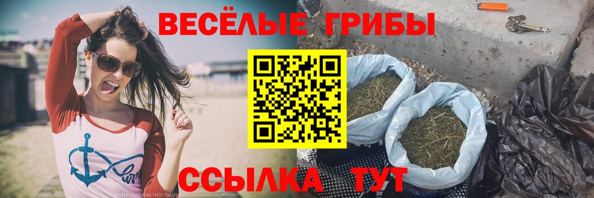 Псилоцибиновые грибы Magic Shrooms Печора